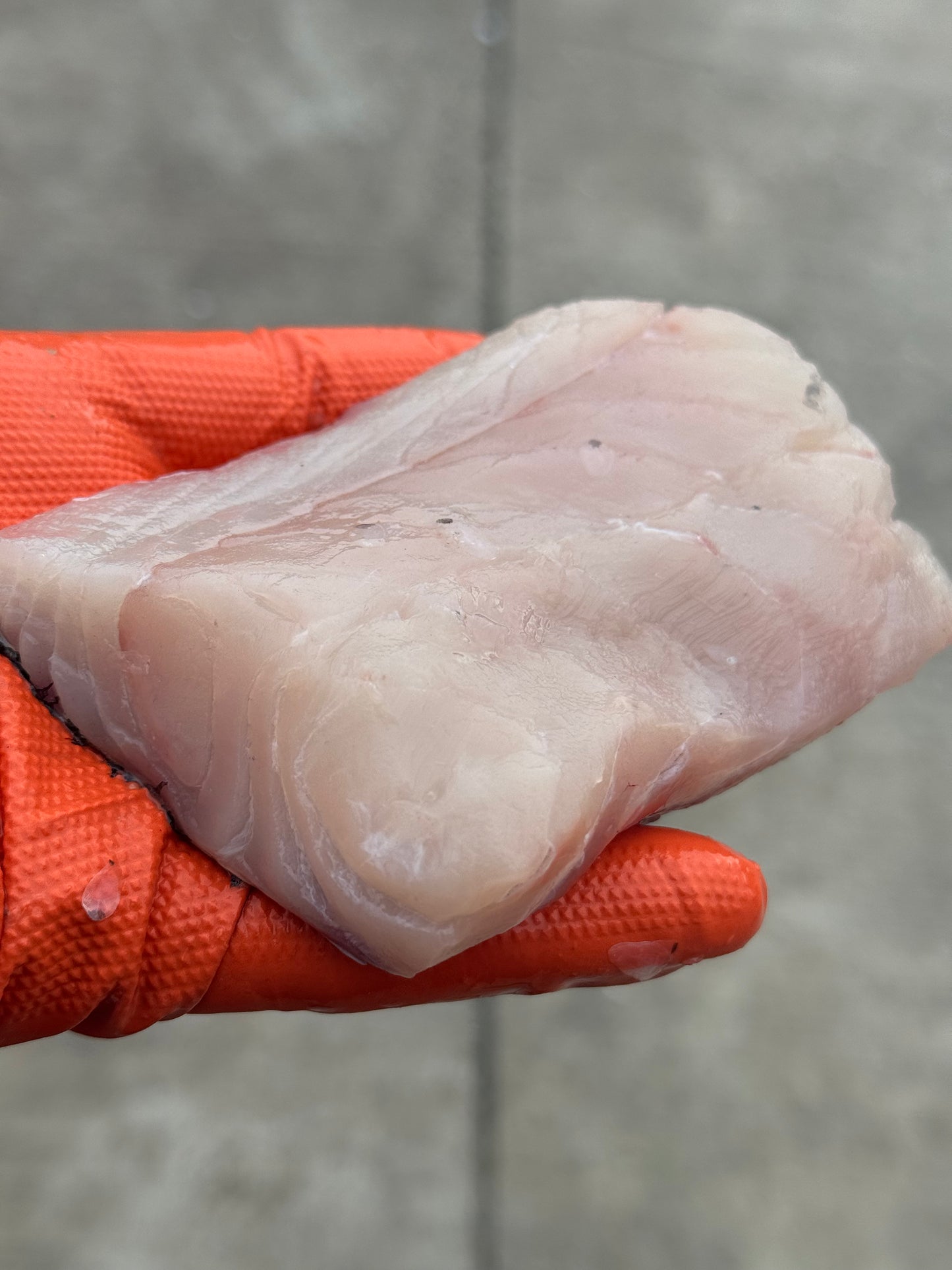 Hake Portion