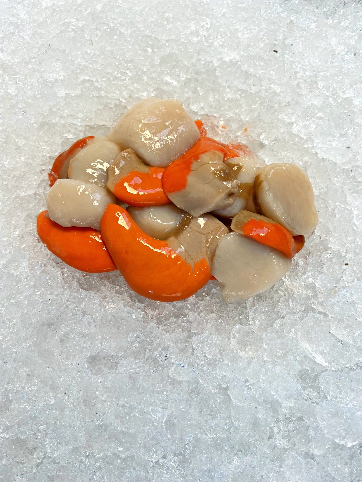 scallops