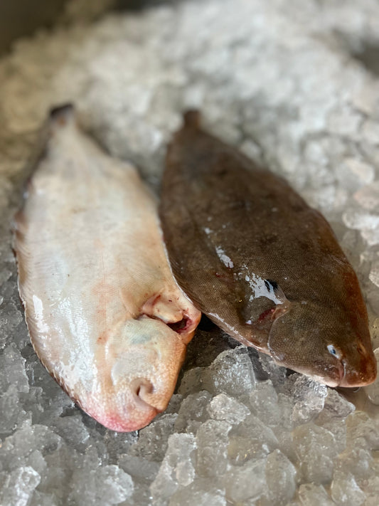 Dover Sole