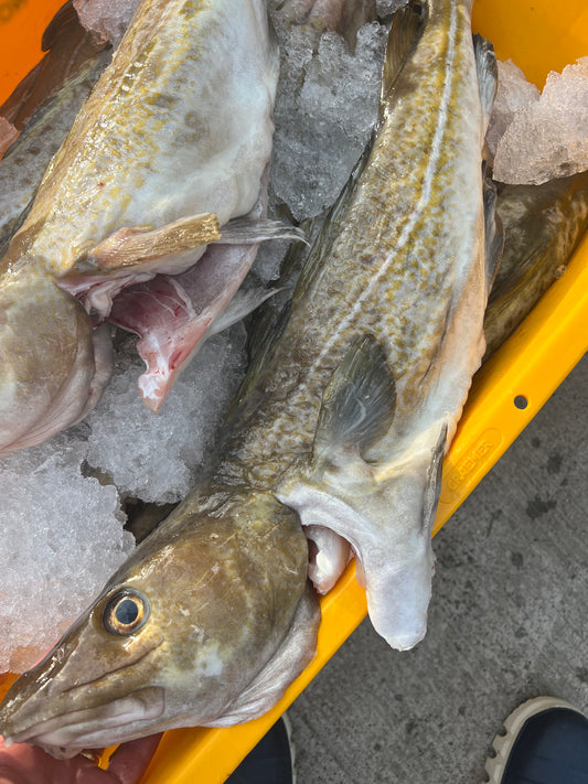 Cod Portion