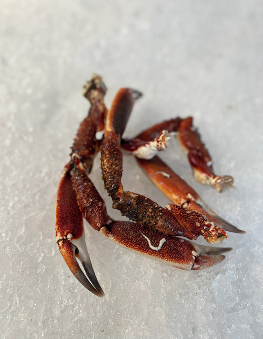 spider crab claws